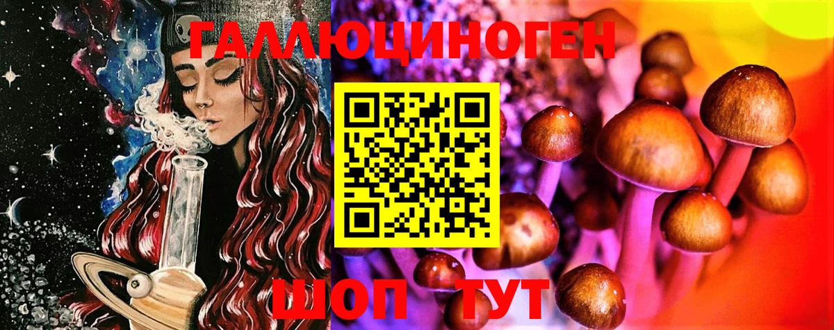Павлово  Галлюциногенные грибы Psilocybine cubensis  Вход с VPN  Галлюциногенные грибы MAGIC MUSHROOMS 